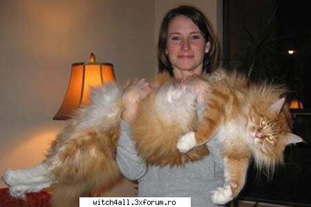 animale domestice unde iei?stiu numesti seby --||Witch in Luv||--