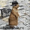 avatare animatzii