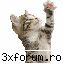 avatare animatzii --||Witch in Luv||--