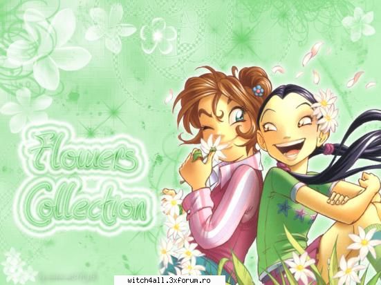 Grupul - ash - .::Witch::.